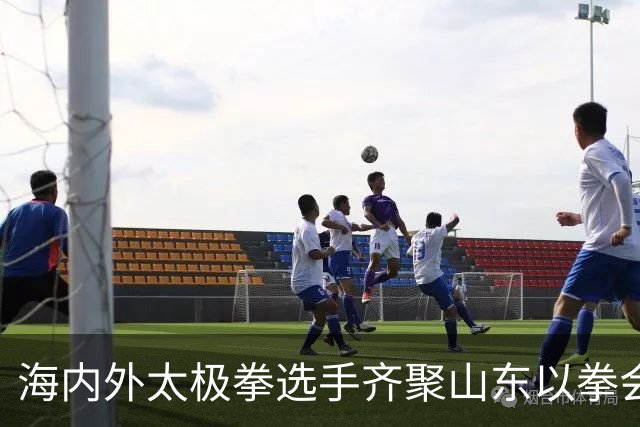 海内外太极拳选手齐聚山东以拳会友