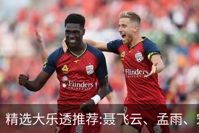 精选大乐透推荐:聂飞云、孟雨、宋凯、沧海同中1011万
